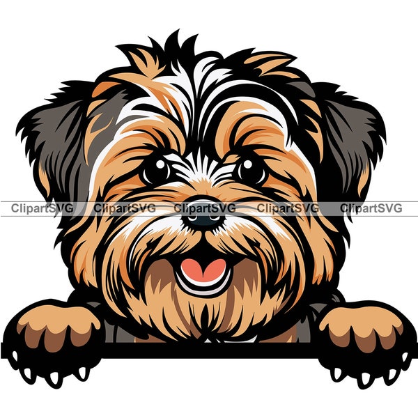 Morkie souriant furtivement chien mignon chiot tête canine animal de compagnie maltais Yorkshire Terrier Yorkie patte impression dessin Art Logo tatouage conception SVG PNG coupe