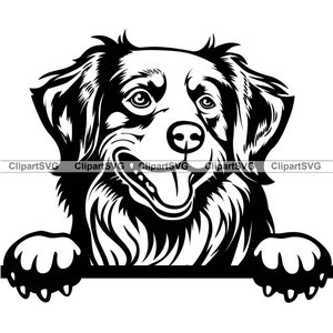 Nova Scotia Duck Tolling Retriever Smiling Peeking Dog Puppy Face Pet Portrait Paw Print Cartoon Drawing Art Logo Tattoo Design SVG PNG Cut
