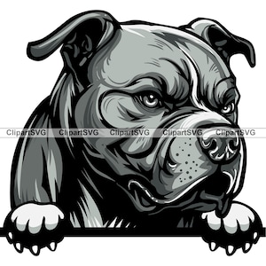 Zwarte Pit Bull Terriër gluren hond Puppy gezicht Canine huisdier Amerikaanse Pitbull blauwe neus Paw tekening Art Logo Tattoo Design SVG PNG knippen snijden