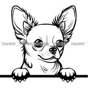 Chihuahua Spähen Hund Welpe Gesicht Eckzahn Pedigree Haustier Pfotenabdruck Rasse Portrait Cartoon Zeichnung Kunst Logo Tattoo Design SVG PNG Schneiden Schneiden