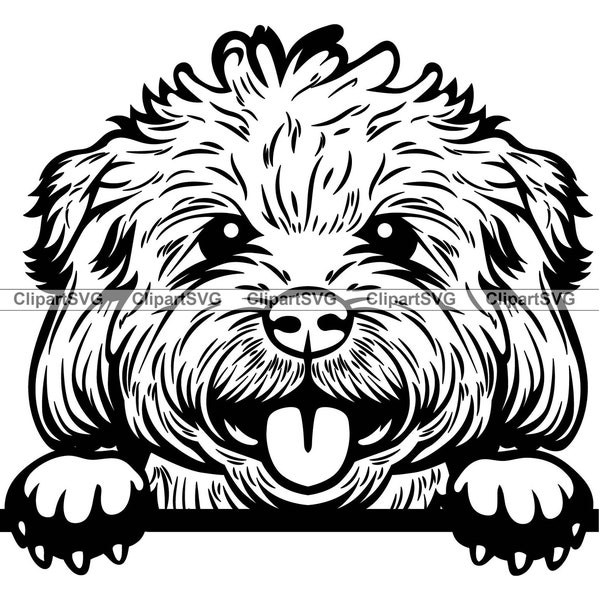 Westiepoo Smiling Peeking Dog Cute Puppy Face Canine Pet West Highland White Terrier Westie Poodle Paw Art Logo Design SVG PNG Cut Cutting