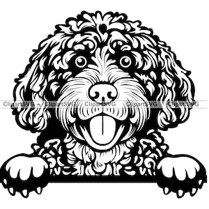 Perro de agua español mirando sonriente lindo cachorro cara canina mascota caniche portugués Labradoodle pata dibujo arte logotipo tatuaje diseño SVG PNG corte