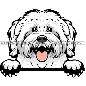 Coton De Tulear Smiling Peeking Dog Cute Puppy Face Canine Pet Portrait Paw Print Maltese Cartoon Art Logo Tattoo Design SVG PNG Cut Cutting