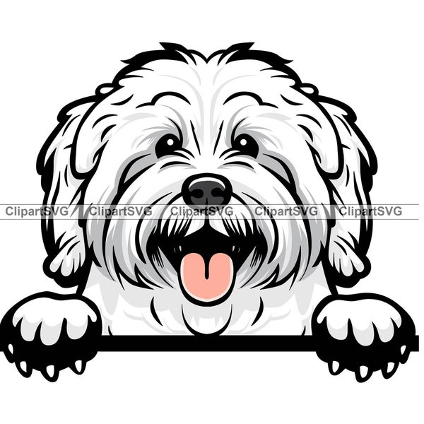 Coton De Tulear Smiling Peeking Dog Cute Puppy Face Canine Pet Portrait Paw Print Maltese Cartoon Art Logo Tattoo Design SVG PNG Cut Cutting