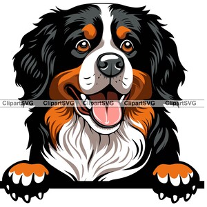 Bernese Mountain Dog Smiling Peeking Puppy Face Canine Pet Portrait Paw Print Cartoon Drawing Art Logo Tattoo Design SVG PNG Cut Cutting
