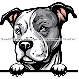 Zwarte Pit Bull Terrier Gluren Hond Schattige Puppy Gezicht Honds Huisdier Amerikaanse Pitbull Blauwe Neus Liefde Paw Tekening Art Logo Tattoo Design SVG PNG Cut