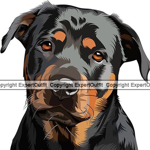 Rottweiler Dog Breed Smiling Puppy Animal Pet Happy Hound Pedigree Purebred Color Art Artwork Logo .JPG .PNG .SVG Clipart Vector Graphic