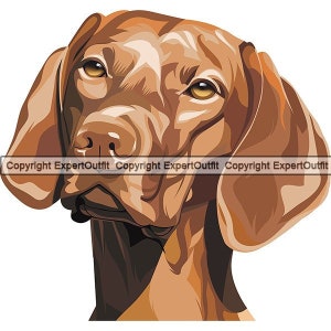 Vizsla Hunderasse Lächelnd Welpe Tier Haustier glücklicher Jagdhund Stammbaum Reinrassige Hunde Niedlich Kunst Kunstwerk Logo .JPG .PNG .SVG Clipart Vektor Grafik