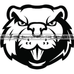 Bóbr #1b Głowa Twarz Zwierzę Zły Kreskówka College High School Zespół Sport Maskotka Projekt Logo .SVG .PNG Clipart Wektor Cricut Cięcie Plik do cięcia