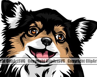 Yorkie Short Hair Etsy