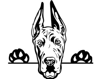 Download Great dane svg | Etsy