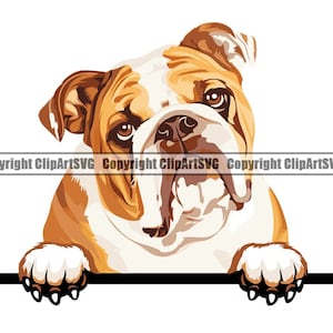 English Bulldog Dog Breed Peeking Peek-A-Boo Paw Pup Puppy Pup Pet Art Cartoon Rescue Design Logo SVG PNG Clipart Vector Cricut Cut Cutting