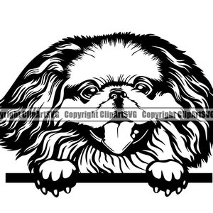 Pekinees hondenras gelukkig gluren Peek-A-Boo stamboom rasechte huisdier Pommeren Papillon Bichon Frise Logo SVG PNG Clipart Vector knippen snijden