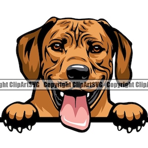 Rhodesian Ridgeback Dog Breed Peeking Peek-A-Boo Pedigree Purebred Pet Vizsla Weimaraner Animal Design Logo SVG PNG Clipart Vector Cut File