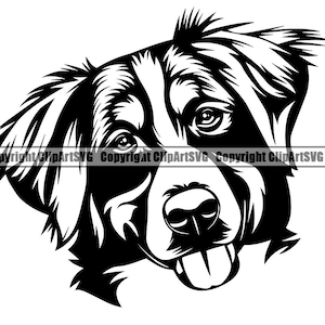 Berner Sennenhund glückliches Gesicht Kopf Rasse Pfote Welpe Welpe Haustier Art Bernhardiner Größere Schweizer Berge Logo SVG PNG Clipart Vektor Schneiden Schneiden