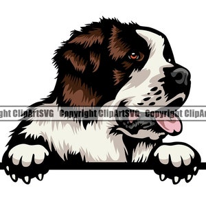 Bernhardiner Hunderasse Lächelnd Welpe Tier Haustier glücklich Stammbaum Reinrassige Eckzahn Berner Berg Heilige Kunstwerk Logo JPG PNG SVG Clipart Vektor