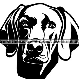 Weimaraner Dog Breed Head Happy Face Puppy Pup Pet English German Wirehaired Pointer Vizsla Design Logo SVG PNG Clipart Vector Cut Cutting