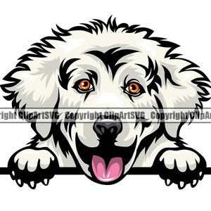 Chien des grandes Pyrénées furtivement Peek-A-Boo Happy Breed Golden Retriever chiot K-9 Pedigree Animal Pet Logo SVG PNG Vector Cricut Cut Cutting File