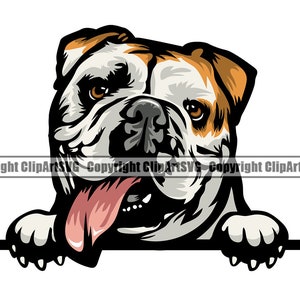 Engelse Bulldog hondenras gluren Peek-A-Boo Paw Puppy Pup huisdier kunst K9 Dogue de Bordeaux Bull Mastiff Logo SVG PNG Clipart Vector knippen snijden