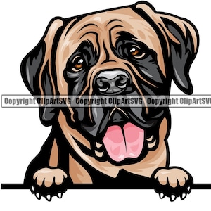 Mastiff Hund Spähen Peek-A-Boo Rasse Happy Welpe Tier Haustier Farbe Kunstwerk American Bull Englisch Bulldog Design Logo PNG SVG Clipart Vektor