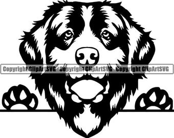 Download Newfoundland Dog Svg Etsy PSD Mockup Templates