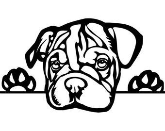 Download American bulldog svg | Etsy