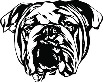 Free Free American Bulldog Svg 44 SVG PNG EPS DXF File