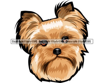 Yorkie Short Hair Etsy