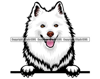 Free Free American Eskimo Svg 152 SVG PNG EPS DXF File