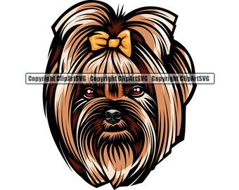 Yorkie Short Hair Etsy