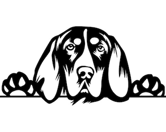 Coonhound svg | Etsy