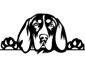 Bluetick Hound Coloring Pages