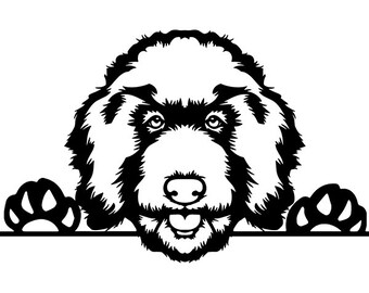 Goldendoodle svg | Etsy