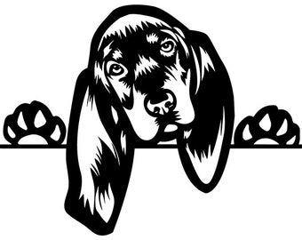 Coonhound svg | Etsy