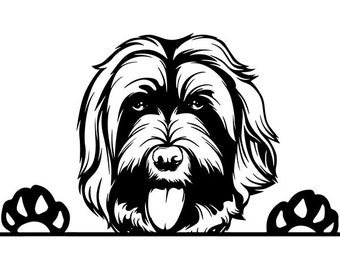 Download Labradoodle svg | Etsy