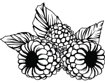 Download Blackberry Svg Etsy