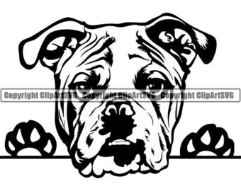 Download American Bulldog Svg Etsy
