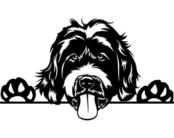 Download Labradoodle svg | Etsy