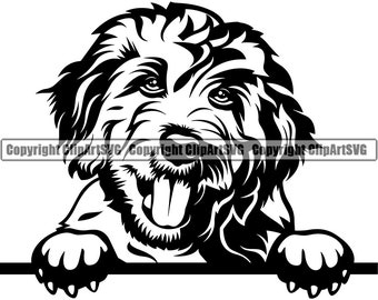 Golden Doodle Svg Etsy