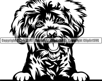 Cockapoo Pup Svg Etsy