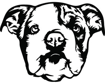 Download American bulldog svg | Etsy