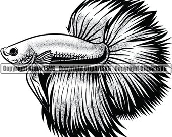Download Betta Fish Svg Etsy