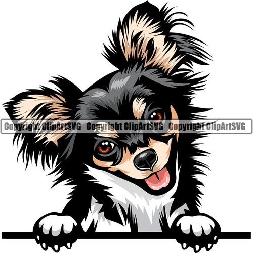 Chihuahua Dog Breed Peeking Peek-a-boo Happy Puppy Pet Long - Etsy Chihuahua Dog Breed Peeking Peek-a-boo Happy Puppy Pet Long - Etsy