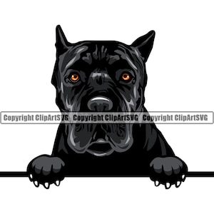 Cane Corso Dog Breed Peeking Peek-A-Boo Paw Puppy Pup Pet Great Dane Neapolitan Mastiff Design Logo SVG PNG Clipart Vector Cut Cutting File