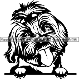 May include: Black and white illustration of a Shih Tzu dog peeking over a surface with its tongue sticking out.