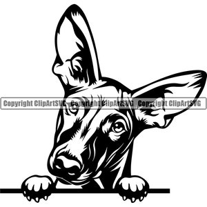 Faraón Perro Perro Raza Peeking Peek-A-Boo Paw Cachorro Cachorro Mascota Lindo Arte K9 Ibizan Basenji Arte Lindo Logotipo SVG PNG Clipart Vector Corte Corte