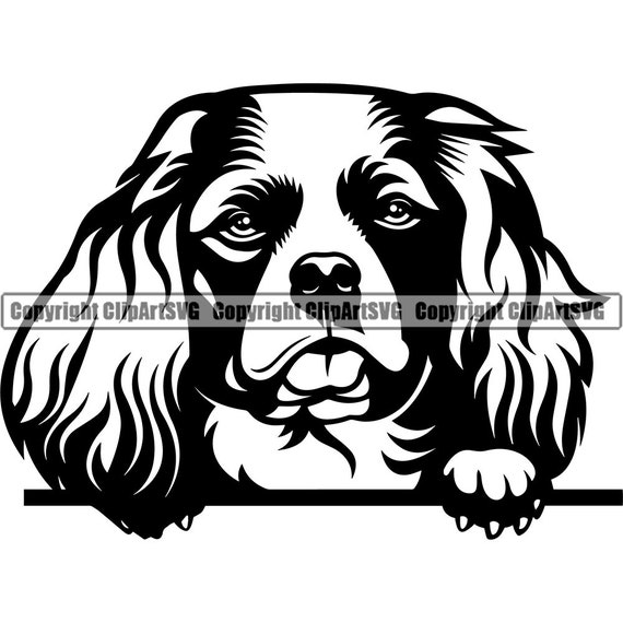 Download Cavalier King Charles Spaniel Dog Peeking Peek A Boo Breed Etsy