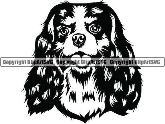 Download Cavalier King Charles 20 Smiling Dog Breed Animal Pet Etsy