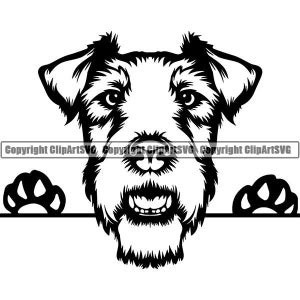 May include: Black and white line art of a dog's face with a shaggy beard and paws. The dog's face is centered, with its paws on either side of the image. The text "Copyright ClipArtSVG" is at the top.