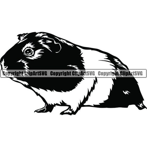 Download Guinea Pig 8 Pet Rodent Design Fluffy Head Face Domestic Etsy